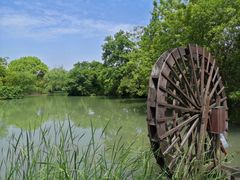 -西溪国家湿地公园