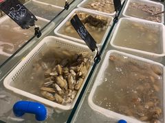 -富力希尔顿酒店·地阔自助餐厅