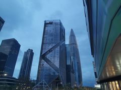 -深圳湾万象城(南山店)