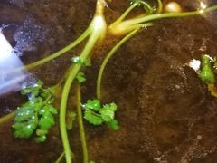 -肥信潮菜(科新路店)