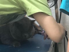 -芭比堂动物医院广州顽皮分院