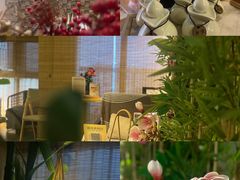 -施奈儿.洗头頭療.按摩SPA.采耳(上梅林店)
