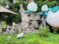 -深圳野生动物园