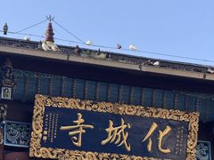 -九华山风景区