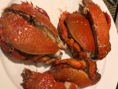 -青岛富力艾美酒店