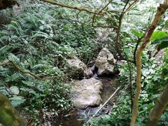 -滴水岩森林公园