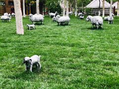 景观位-九十九顶毡房(阜石路店)