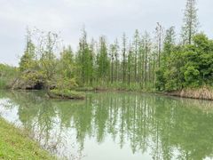 -艾溪湖湿地公园