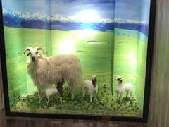 -清真·益鑫羊肉手抓馆(花园北街店)