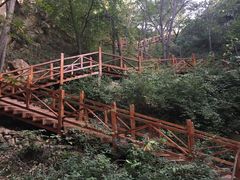 -大岭沟猕猴桃谷风景区