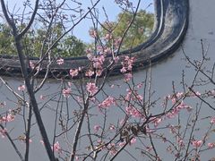 -乌山风景区
