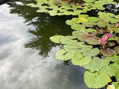 -国家植物园南园