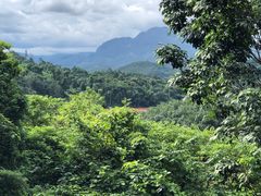 -中国科学院西双版纳热带植物园