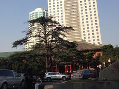 iphone_upload_pic-南京钟山宾馆(江苏省会议中心)