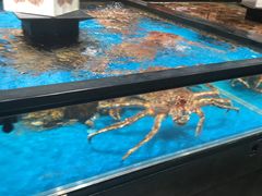 -盒马鲜生(皇庭广场店)