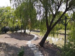 -上海长兴岛郊野公园