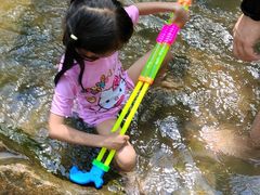 -广州白江湖森林公园