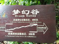 -呀诺达热带雨林