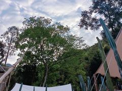 -MOJ coffee(瓯海泽雅水碓坑店)