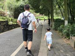 -都江堰中华大熊猫苑