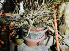 -斯多格书乡(北京大学畅春园店)