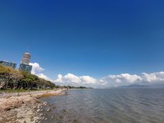 -深圳湾公园(南山区)