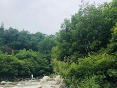 -沣峪口