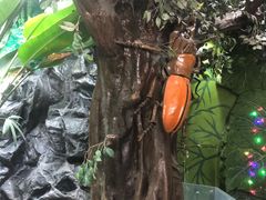 -上海大自然野生昆虫馆(东方明珠·爬宠昆虫探索中心)