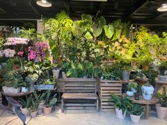 -自由生长植物工作室(深港花卉中心店)