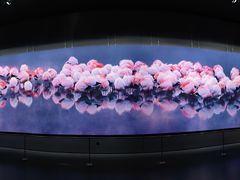 -罗红摄影艺术馆