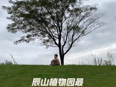 -上海辰山植物园