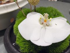 -沈灶河豚宴·河豚融合餐厅(汉中路店)