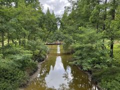 -黄海国家森林公园