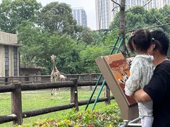 -成都动物园