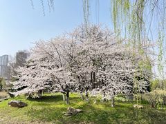 -堤角公园