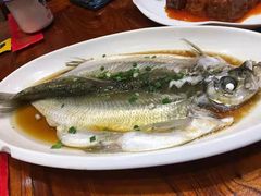 清蒸白鱼-双子楼大酒店(城开国际写字楼店)
