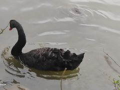 -上海野生动物园