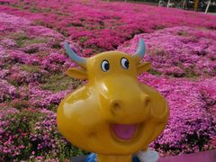 -云幽谷旅游区