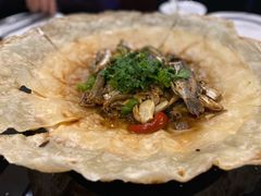 杂鱼锅贴-黄四老鱼馆(尚东国际店)