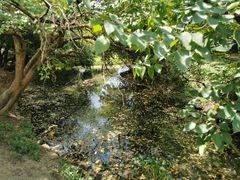 -贵阳市花溪国家城市湿地公园