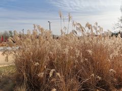 -汉长安城未央宫国家考古遗址公园