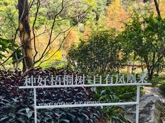 -云溪植物园