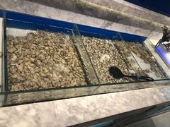 -火锅岛潮牌自助餐厅(天津天佑城店)