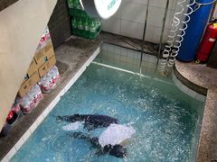 -旭龙鱼头王(航华店)