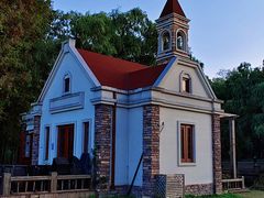 -上海共青森林公园