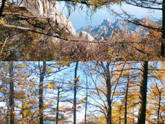 -崂山巨峰游览区