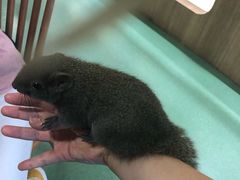 -藦茜花园宠物主题亲子互动体验馆(国顺东路店)