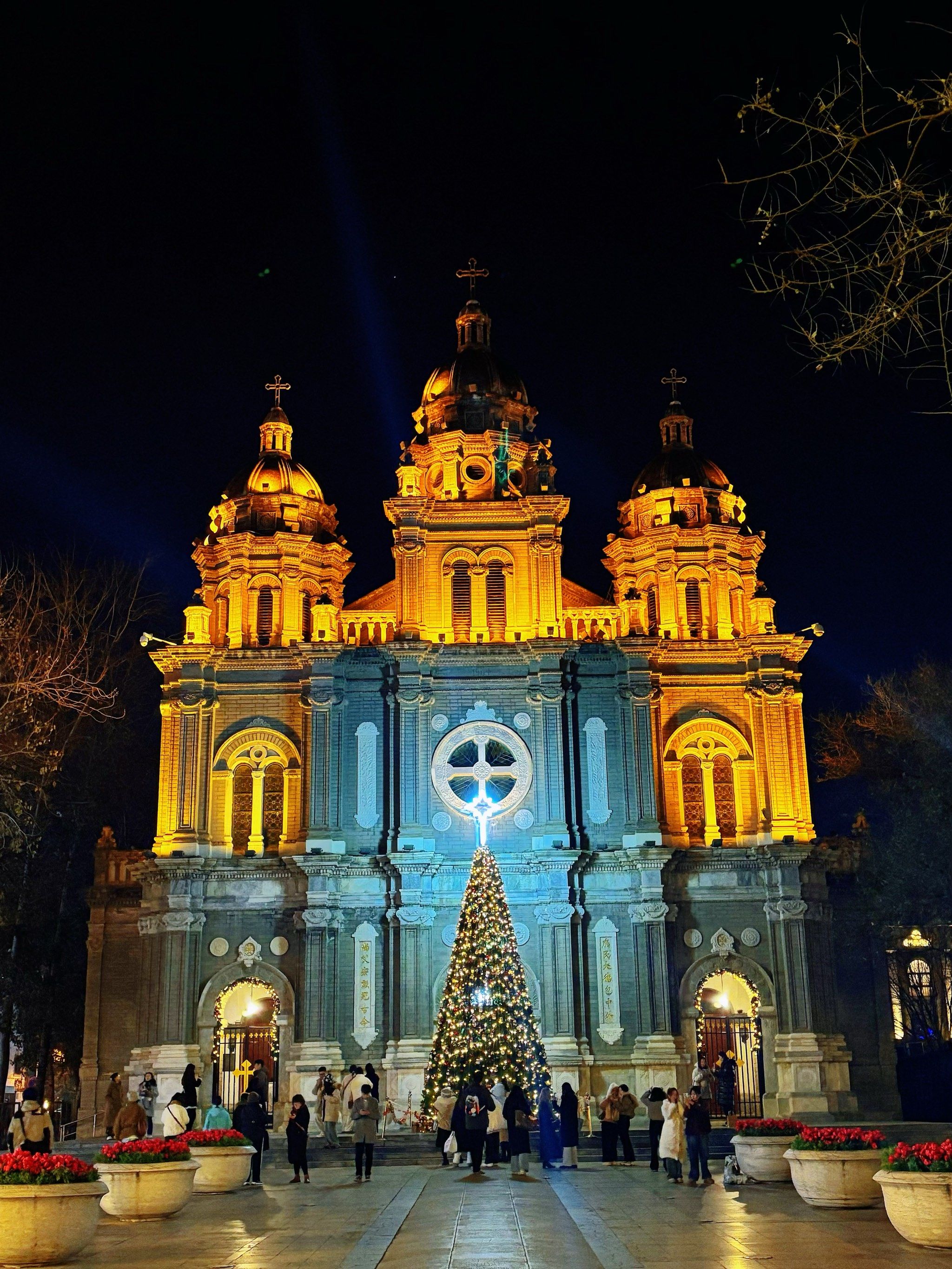 夜色下🎄天主教堂下的圣诞氛围