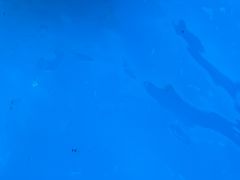 -杭州浪浪浪水公园