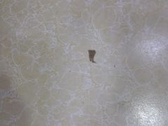 干切牛肉拉面-中国牛肉拉面(东方红郡花园店)